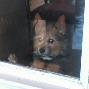 Meet your Posher, Terry